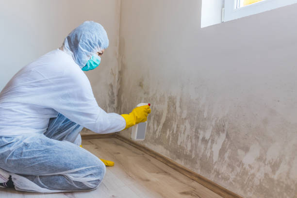 Licensed Bathroom Mold Removal service in Dornsife, PA - WQB Mold Removal