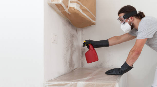 Professional Bathroom Mold Removal technician working in Dornsife, PA